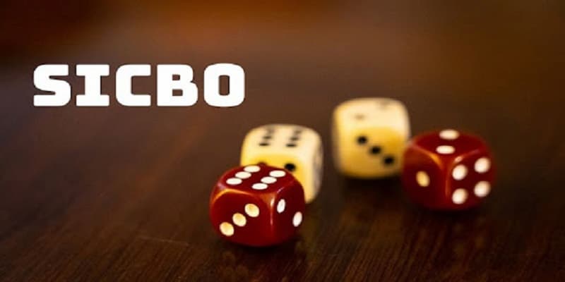 Cách chơi Sicbo Tài Xỉu luôn thắng trong mỗi trận đấu 2 Khám phá trò chơi thú vị Sicbo Tài Xỉu
