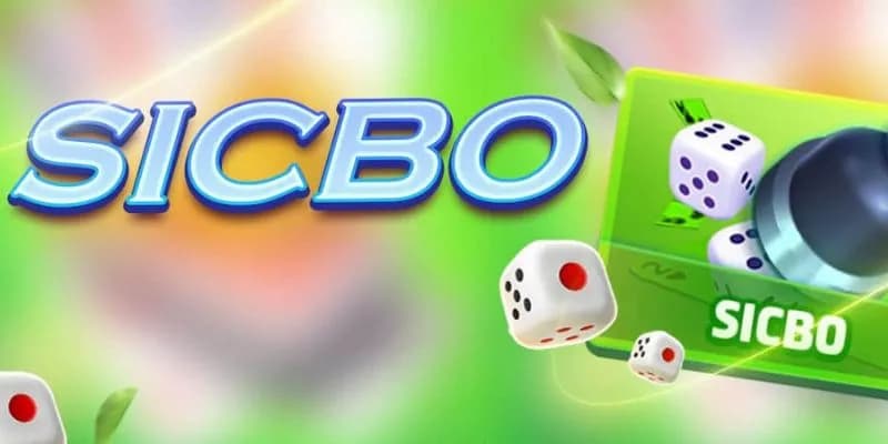 Cách chơi Sicbo Tài Xỉu luôn thắng trong mỗi trận đấu 3 Hướng dẫn người mới tham gia chơi Sicbo Tài Xỉu