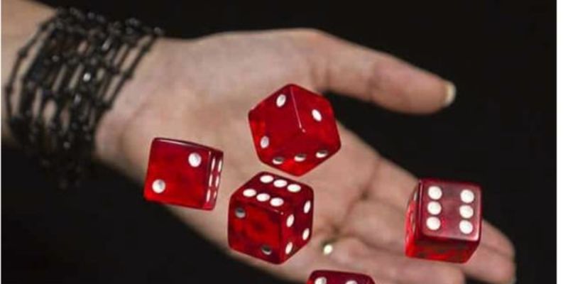 Bắt cầu tài xỉu - Các phương pháp và mẹo bắt cầu hiệu quả 1 bat cau tai xiu 2