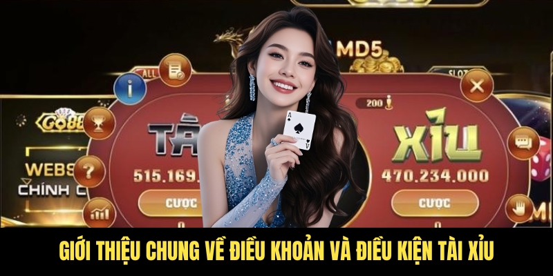 Điều khoản và điều kiện Tài Xỉu - Cần biết trước khi chơi 1 Sơ lược về nội dung điều khoản và điều kiện Tài Xỉu