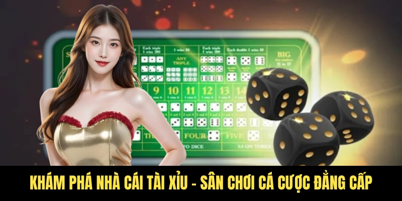 Trang chủ 17 Tìm hiểu về nhà cái cá cược Tài Xỉu