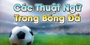 thuat ngu ca do bong da